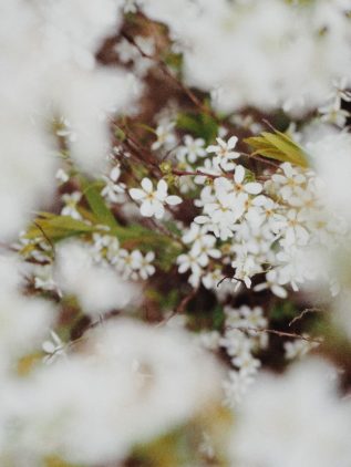 IMG-20230810-WA0089-01