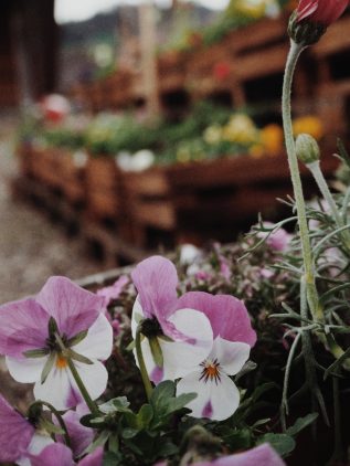 IMG-20230810-WA0099-01